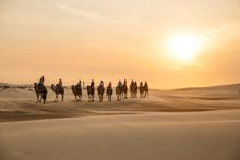 : Sunset camel riding experience with in Anna Bay, Port Stephens.