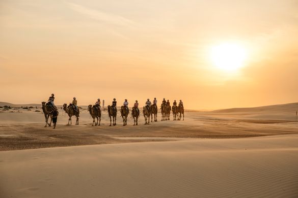 : Sunset camel riding experience with in Anna Bay, Port Stephens.