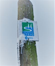 Winterwandern auf dem Saar-Hunsrück Steig