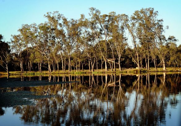 Wetlands at Tahbilk, VIC