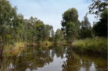 Gemtree Eco Trail, SA