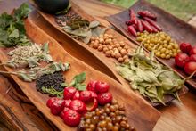 Bush Tucker Tasting at Mandoon, WA