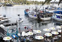 Sydney Fish Market at Pyrmont