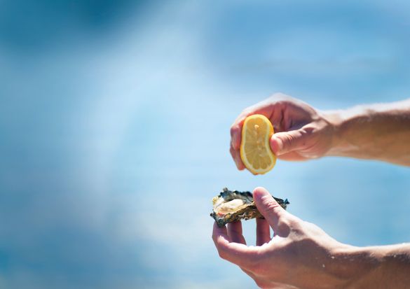 Fresh Oysters, Port Stephens Fresh Oysters, Port Stephens