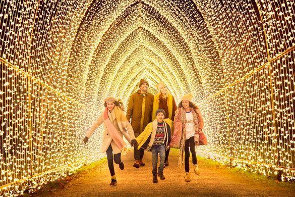 Tunnel of Light by Mandylights from 2020 Tunnel of Light by Mandylights from 2020