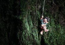 Otway Fly Treetop Adventures 