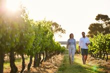 Leeuwin Estate vineyard