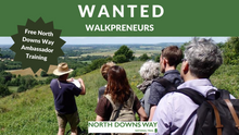 Wanted: North Downs Way Ambassadors to run professional, engaging walking tours.