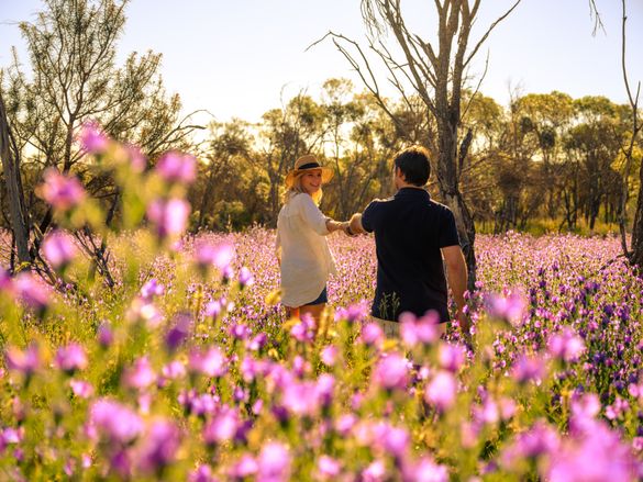 Depot Hill, Mingenew