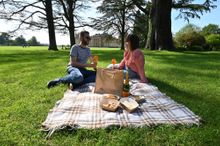 Picnic on the South Lawn