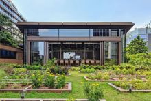 K11 Musea-Nature Discovery Park Tour