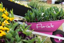 Floriade: Reimagined will brighten up spring in the way it best knows how - with flowers aplenty