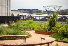 South Eveleigh Community Rooftop Garden, Eveleigh