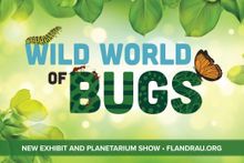 Tucson - Wild World of Bugs - Graphic