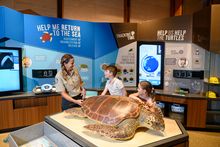 Mon Repos Turtle Centre