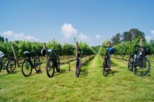 The Great Sussex Wine Tour