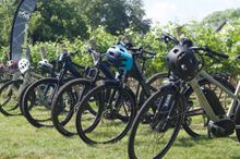 The Great Sussex Wine Tour