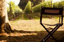 The Great Sussex Wine Tour