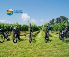 The Great Sussex Wine Tour