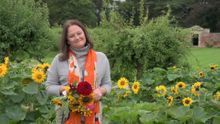 Charlotte Lloyd-Webber, director of the inaugural Autumn Festival
