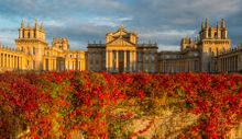 Autumnal splendour at Blenheim Palace