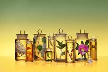 A collection of glass jars with different herbs. Green and yellow colour gradient background.