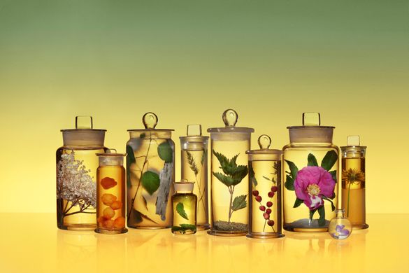 A collection of glass jars with different herbs. Green and yellow colour gradient background.