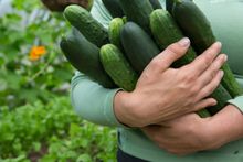Alaska has an emphasis on locally grown foods, greenhouses can be spotted at most lodges and in isolated towns.