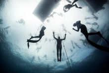 Freediving in Roatan, Honduras