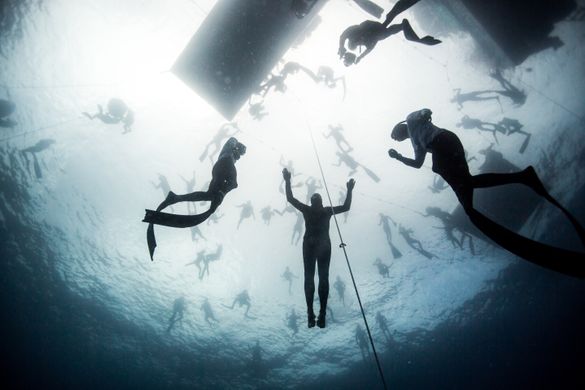 Freediving in Roatan, Honduras
