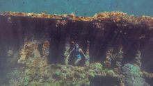 Coron shipwreck diving