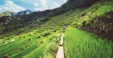 Banaue Rice Terraces