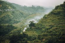 Banaue Rice Terraces 