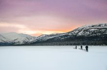 Dogsledding Fish Lake, Yukon