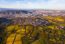 Weinberge Aussicht