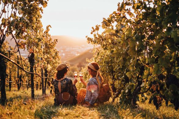 Weinberge