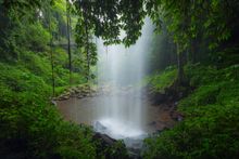 Crystal Shower Falls, Dorrigo National Park