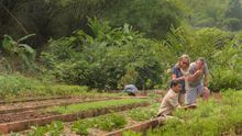 Four Seasons Tented Camp Golden Triangle Jungle to Table Foraging Walks