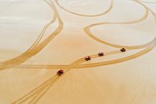 Stockton Sand Dunes, Port Stephens
