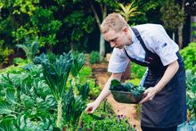 Chiswick Restaurant, Woollahra