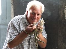 John Lever with baby crocs