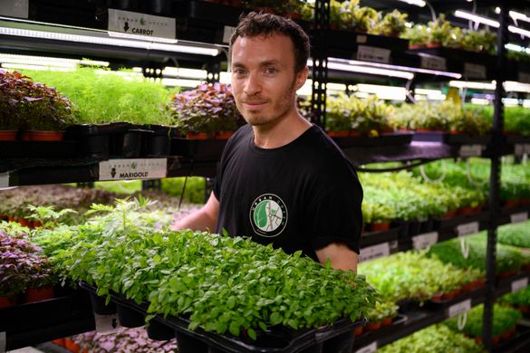 Noah Verin, Urban Green Sydney Noah Verin, Urban Green Sydney