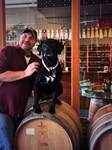 tasting_rooms_wineries_Mercury_Geyserville_Sonoma_County_001