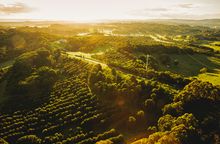 Aerial of the rolling hills in Byron Bay's hinterland.