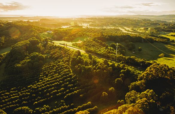 Aerial of the rolling hills in Byron Bay's hinterland.