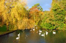 Kearsney Parks, White Cliffs Country - perfect for leaf peeping this Autumn
