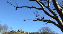 Dover Castle in White Cliffs Country: the most haunted castle in England? No fewer than five ghosts are rumoured to haunt the historic fortress