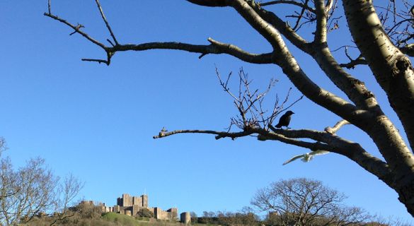 Dover Castle in White Cliffs Country: the most haunted castle in England? No fewer than five ghosts are rumoured to haunt the historic fortress