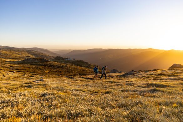 Guided Hikes at Australia's Highest Peak