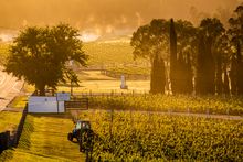 Countryside, Hunter Valley